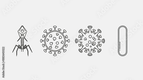 Bacteriophage and Coronavirus and Paperclip Illustrations.