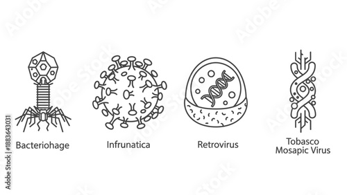 Bacteriophage Infulmatica Retrovirus Tobacco Mosaic Virus Illustrations.