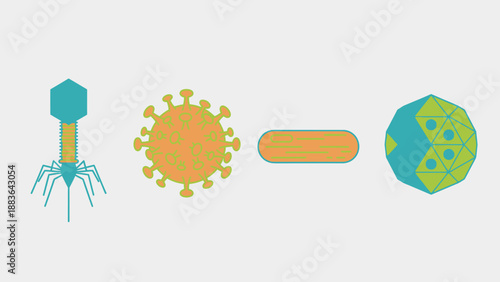 Bacteriophage Virus Bacterium Microbe Microbiology Illustration.