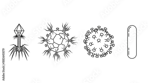 Microscopic Organisms and Cell Structures Illustrated.