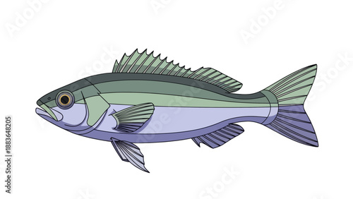 Fish Vector Illustration, Aquatic Animal Graphic, Ocean Life Design, Isolated Marine Species