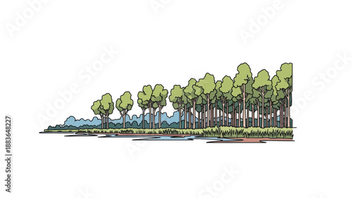 Forest landscape illustration, vector style graphic, nature scene for design, ecology concept, background