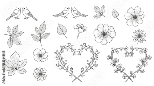 Black and white line drawings of various flowers and birds