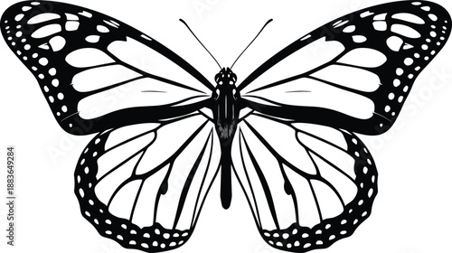 Elegant butterfly silhouette with symmetrical wings, detailed nature illustration symbolizing transformation, freedom, beauty, balance, and delicate wildlife design