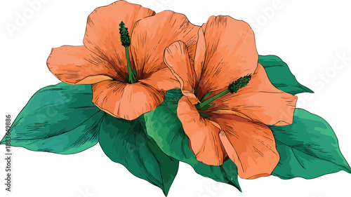 Elegant Drawing Flowers Green Leaf Vector Outline