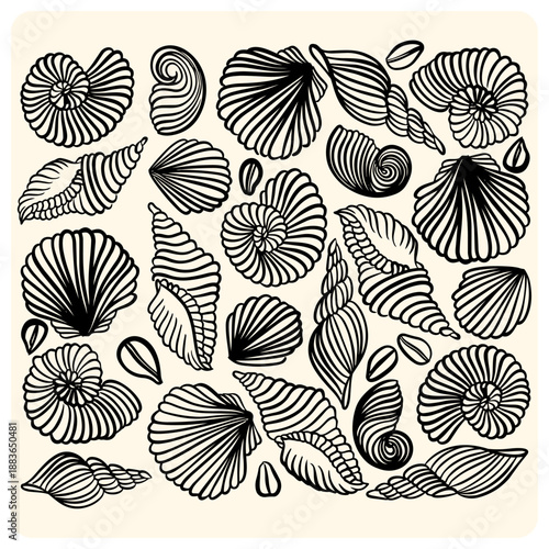 Detailed Hand Drawn Sea Shells and Snail Shells Line Art Collection