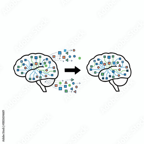 A vector graphic illustration of two brains with colorful geometric shapes and lines representing the transfer of information and knowledge.