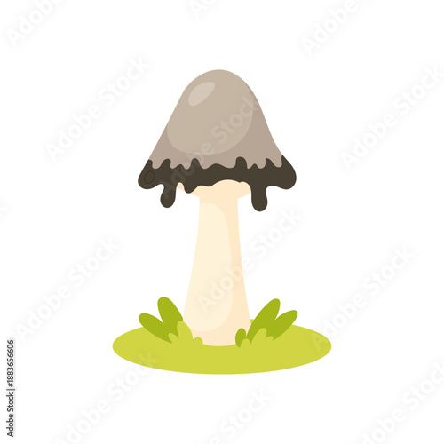 Mushroom illustration showing ink cap fungus with dripping dark cap on grass, mushroom graphic for nature education, food concepts, autumn design uses