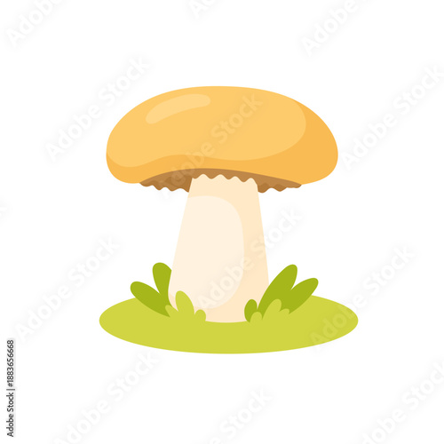 Mushroom illustration of hedgehog fungus standing on grass, mushroom graphic for forest food themes, nature education, autumn harvest visuals use icon