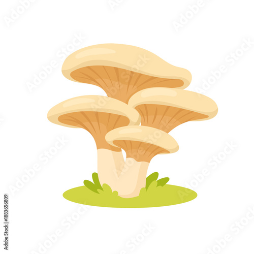 Oyster mushroom illustration showing organic edible fungi cluster on grass, mushroom design for healthy food concepts, mushroom graphic for menus, packaging, eco branding