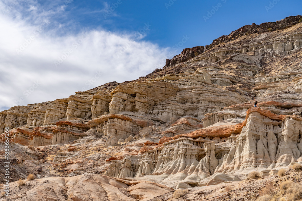 Fototapeta premium The Dove Spring Formation (formerly the Ricardo Formation), continental and lacustrine sediments containing lava flows and tuff. Red Rock Canyon State Park, Kern County, California. Mojave Desert.
