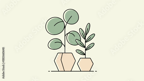 Minimalist botanical illustration of two potted plants with broad and slender leaves on a light gray background