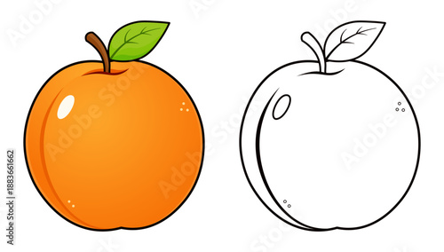 Cartoon apricot fruit with stem and leaf for coloring