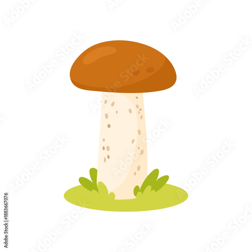 Mushroom illustration of birch bolete standing on grass, birch bolete mushroom graphic for forest food themes, autumn foraging visuals, culinary design use