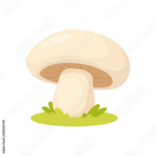 Mushroom illustration of fresh champignon standing on grass, champignon mushroom graphic for everyday food concepts, cooking design, grocery branding visuals