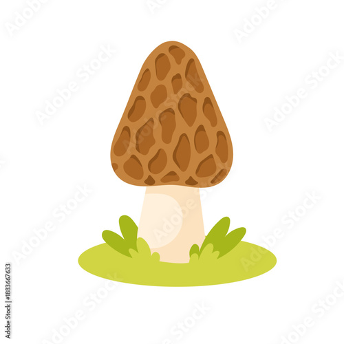 Mushroom illustration of morel fungus growing on grass, morel mushroom graphic for gourmet food themes, spring foraging visuals, culinary design use
