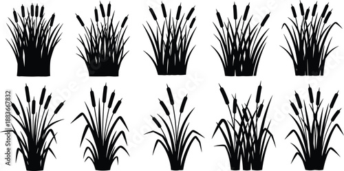Black Silhouette Cattail Reeds in Water Vector Set