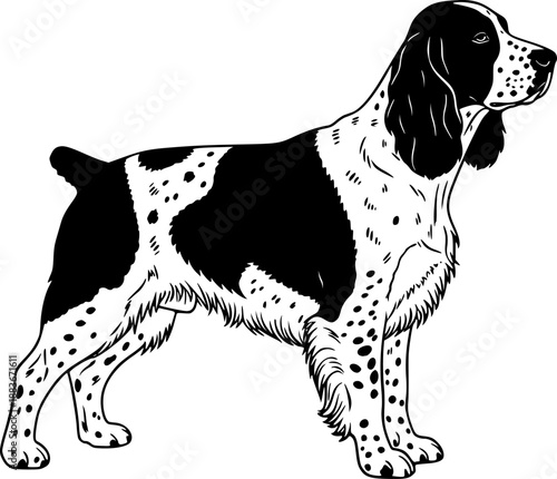 Illustration of two english setter dogs one in outline and one in solid black silhouette style image editable vector
