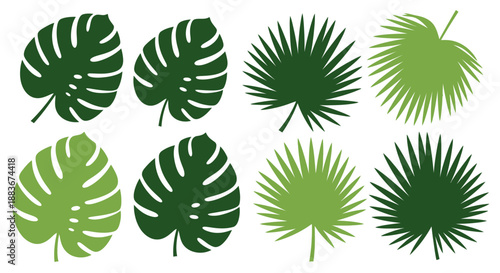 Collection of various green tropical leaves and palm fronds arranged in a grid pattern on a neutral background from a direct viewpoint