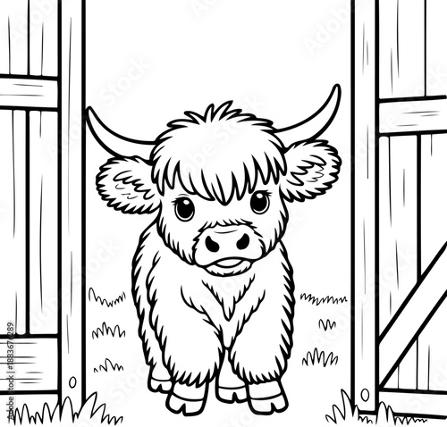 Highland Cow Behind Fence: A charming highland cow stands proudly, its fuzzy fur and gentle eyes captivate as it peeks through the weathered fence, a beacon of farm life and rural tranquility.
