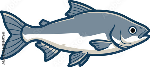 Vector illustration of a silver and blue fish, resembling a salmon or trout, depicted in a side profile with distinct fins and thick outlines.