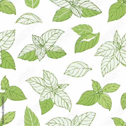 Fresh green basil leaves handdrawn seamless pattern.