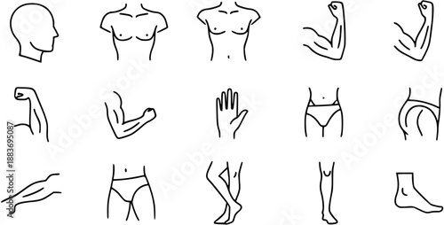 Human Anatomy Outline Icons Set
