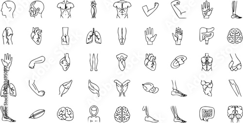 Human Anatomy Organs and Body Parts Outline Icons Set
