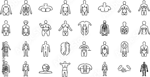 Human Body Anatomy  Health Medical Outline Icons