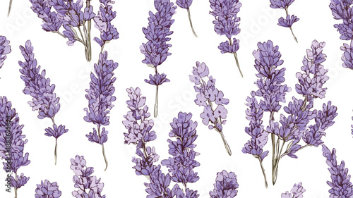Elegant Lavender Flower Seamless Pattern Vector Art and Illustration
