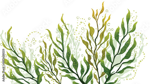 Seaweed Design Concept Vector with Outline on White Background