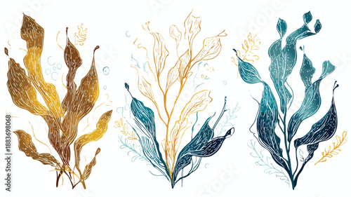 Seaweed Design Concept Vector with Outline on White Background