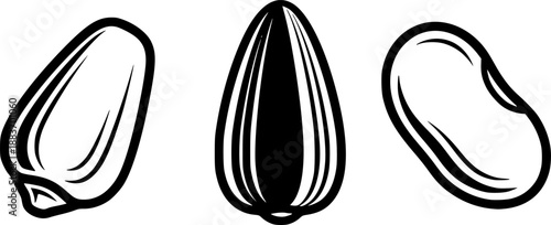 Vintage illustration of three seeds: corn, sunflower, and soybean
