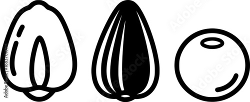 Vintage illustration of three seeds: corn, sunflower, and soybean
