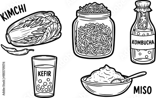 Doodle set of fermented foods including kimchi, sauerkraut, kombucha, kefir, and miso
