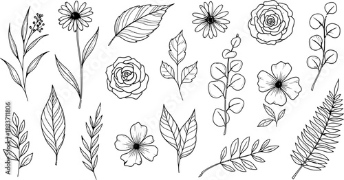 Adobe Illustrator Artwork