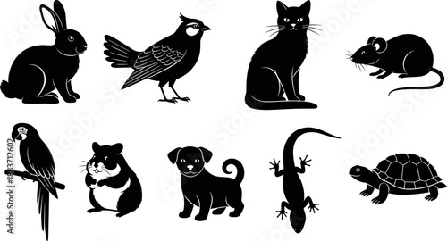 Collection of Domestic Pet and Small Animal Silhouettes Including Cat, Dog, Rabbit, Parrot, Turtle, Mouse, Hamster, and Lizard for Veterinarian Design Vector Illustration