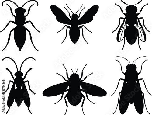 Collection of insect silhouettes vector illustration, black fly, wasp, bee, mosquito, ant, bug icons set, isolated detailed entomology design, white background