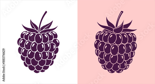 Two stylized, purple raspberries shown against white and pink backgrounds