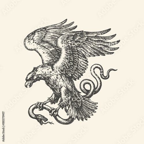 Vintage Engraving Style Illustration of a Majestic Eagle Fighting a Serpent Snake, Hand Drawn Ink Sketch for Tattoo and Logo Design