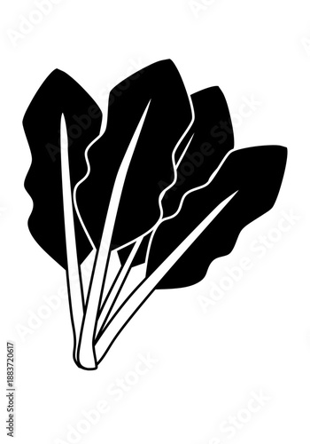 シンプルなタッチのほうれん草のイラスト・白黒
