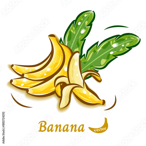 バナナのポップアート素材｜みずみずしく可愛い果物のベクターイラスト