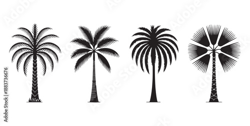 Various palm trees silhouette collection isolated on white background vector
