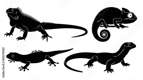 Set of diverse lizard silhouettes in a black and white illustration