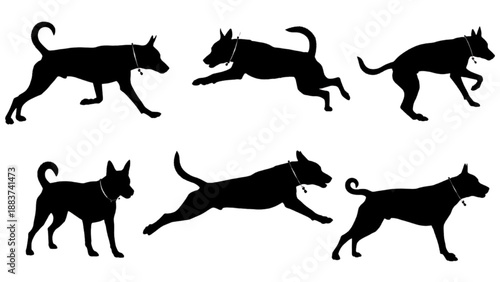 Set of six silhouettes of a dog in various running and walking poses