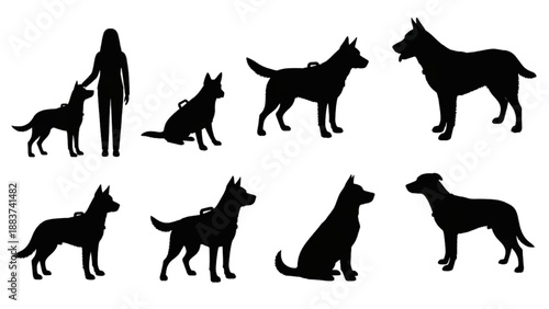 Silhouettes of dogs and a person in various poses and sizes