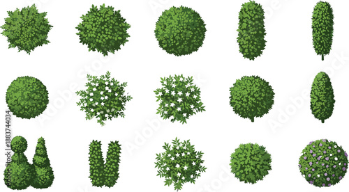 Top view green bushes and shrubs set, landscaping garden elements, natural foliage collection, decorative plants vector illustration isolated on white