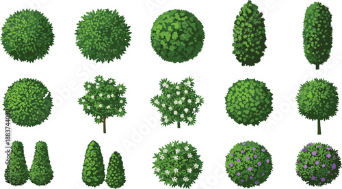 Top view green bushes shrubs trees collection for landscaping garden design natural foliage vector illustration isolated white background decorative elements