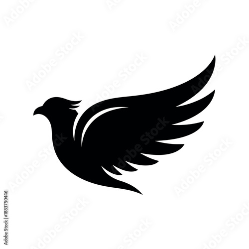 Soaring Bird Logo Design