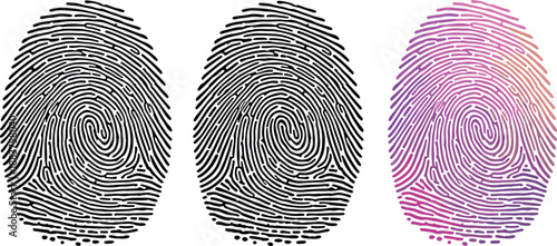 Detailed fingerprint vector set including black silhouette and colorful gradient thumbprint designs for biometric security and personal identity